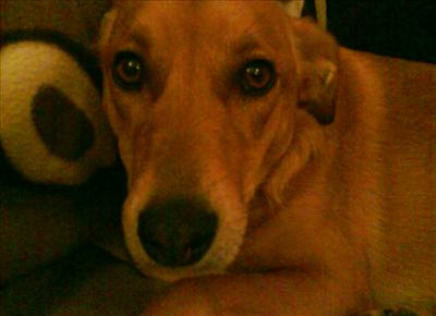 Katie Ages Ago x