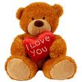 teddy bear