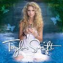 taylor swift poster