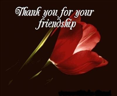 friendship