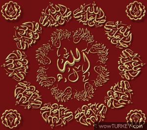 Allah (C.C.)