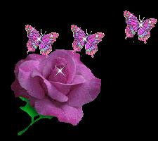 purple rose