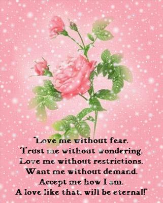 pink rose