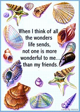 shell