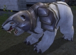 Armored Bear