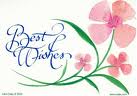 best wishes