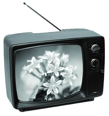 televizyon