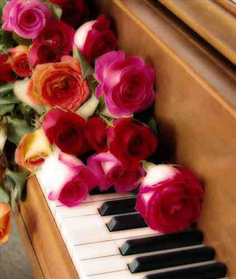 roses