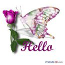 hello