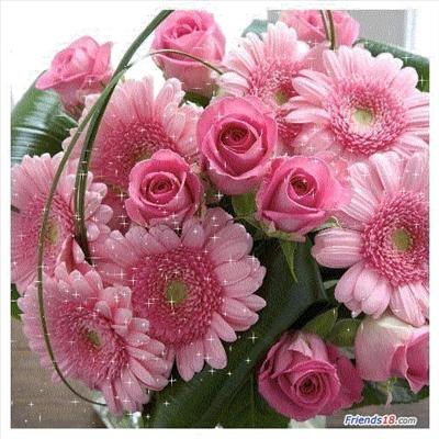 have a nice day