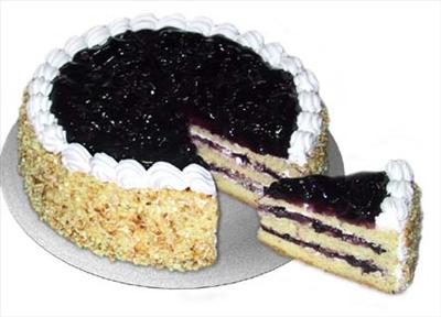 Blueberry Cheese Cake