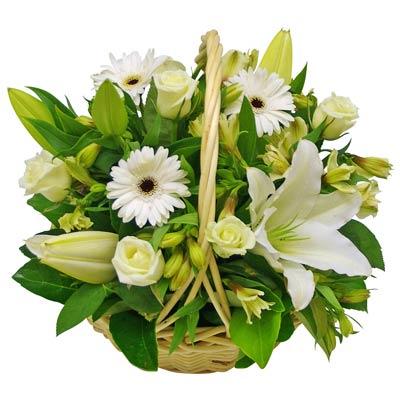White Tullip Basket