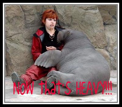 WALRUS