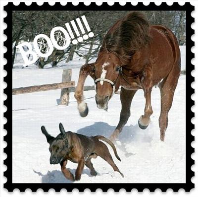 HORSE