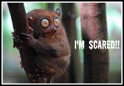 SCARED 