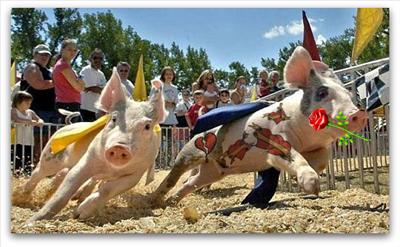 TATOOED PIG