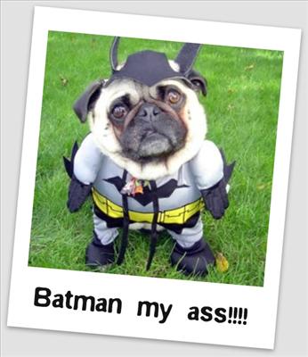BAT DOG