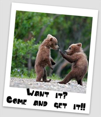 BEARS