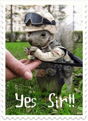 SGT. SQUIRREL