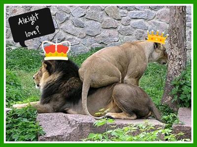 THE ROYALS