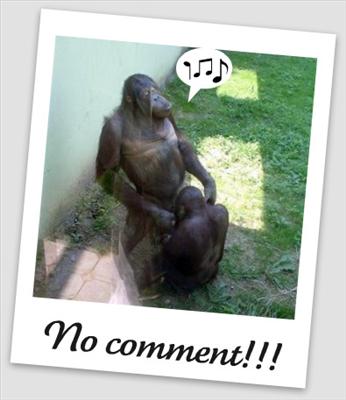 MONKEY BUSINESS