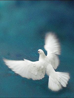Peace