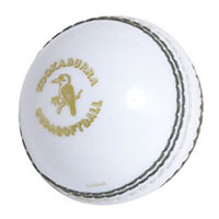 cricket ball