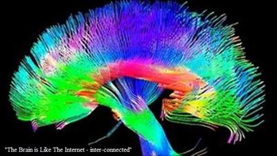 Energy Of The Brain