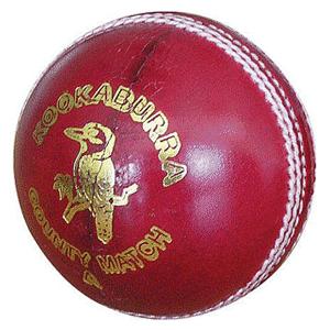 Cricket Ball