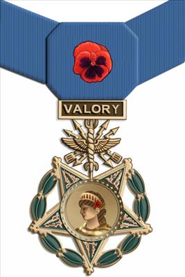 Medal of Valory