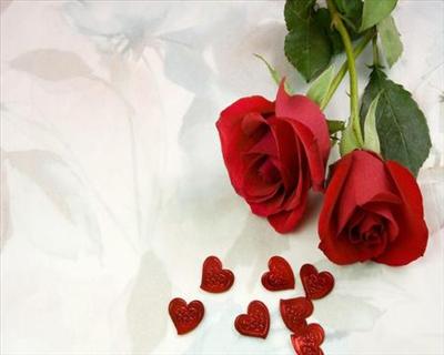 Love  & Roses 4 You