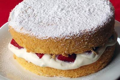 Sponge Cake 