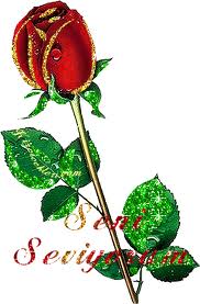 tek gül