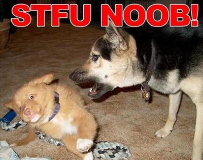NOOB