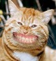 U Should At Least Be Grinning