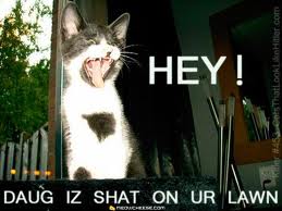 hey 2