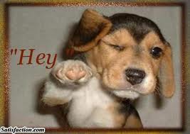 hey 3