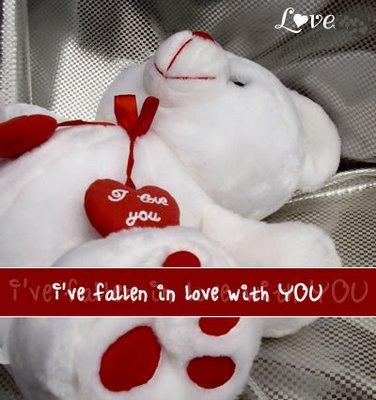 teddy4
