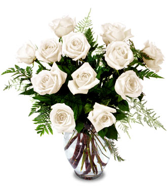 white rose
