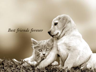 BFF'S!