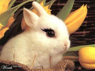 CUTE!