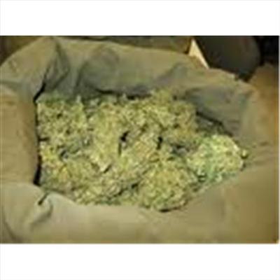 Bag o' Bud