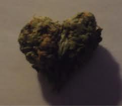 Bud Babe