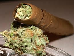 Bud Blunt