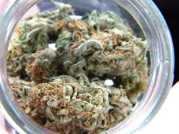 Jar o' Bud