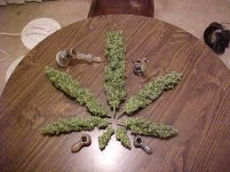 Bud Collection