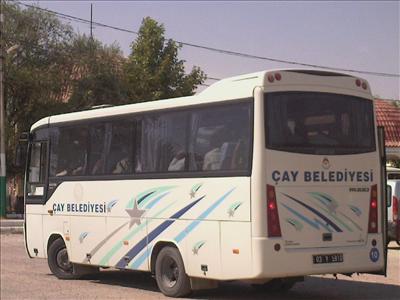yesil çay