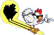 chicken