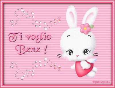 AMICA/O