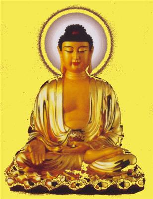 Amitabha Buddha 阿弥陀佛